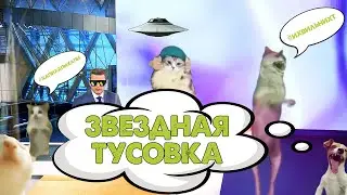 ЗВЕЗДНАЯ ТУСОВКА! Волк ихвильнихт, хапик и другие селебы ютуба зажигают. Треш! 🔥