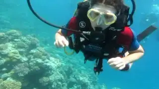Scuba diving