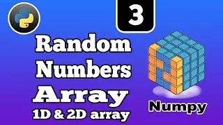 Random numbers array in Python || Create Random numbers array in Numpy
