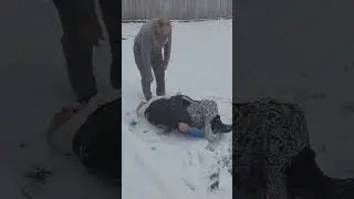 Если стареть, то только так!