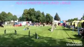 OWK CrazyCrack, 4.6.13,ACD CZ Meister