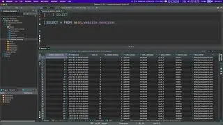 SELECT Command in SQL: The Basics Every Beginner Needs to Know