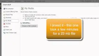 Inserting a video into the D2L content page via Kaltura