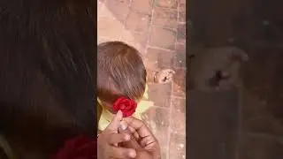 Daughters 👯‍♀️Cuties💋 #daughter #babygirl #tamil #love #cute #happiness #chennai #girl #baby