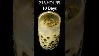 Milk Tea Time Lapse - Rotting Time Lapse #shorts #timelapse #timelapsevideo #goinside #rotting