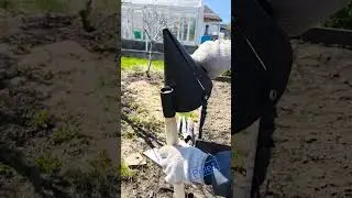 Картофелесажалка ручная под черенок Бодрый Дачник
