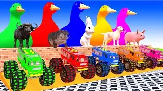 5 Giant Duck Cartoon,Tiger,Cow,Zebra,Chicken,Dog,Pig,Buffalo,Cat Wild Animals Crossing Fountain 2023