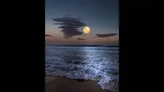 [Free] Deep House Type 2021 Dance Instrumental Cosmos Beats - Solo