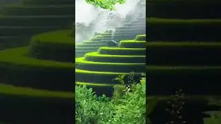 Beautiful Looks