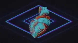 MNOGOZNAAL - НА ТРЕТИЙ ПУТЬ | ZION
