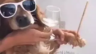 no es gracioso pero es tierno , comprendan wn