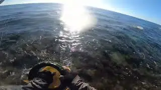 dalawang sunod agad pangatlo daliri kona #goprohero8 #narrapalawan #capung732