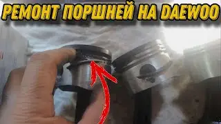 МЕЛИТОПОЛЬСКАЯ ЖОПА 3