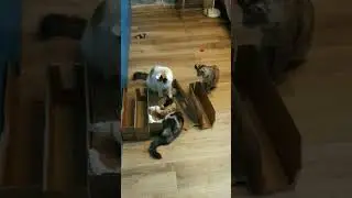 это моë место😺😹😻