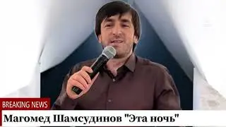 (HIT-2025) Магомед Шамсудинов 
