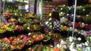 ГЕРМАНИЯ:ПОЕзДКА В ГОЛАНДИЮ!!!! рыБНыЙ рынок