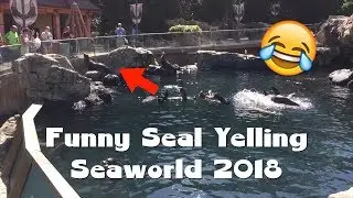 Funny Seal Yelling Seaworld 2018