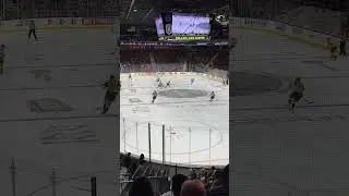 Vegas Golden Knights Hockey!!