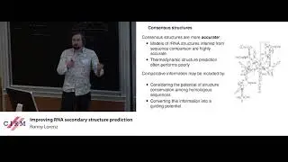 Ronny Lorenz: Improving RNA secondary structure prediction