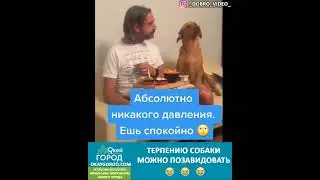 Абсолютно никакого давления