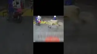 Что они ей сделали? 🤔 