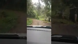 Dia chuvoso