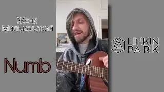 Женя Мильковский – Numb (Linkin Park cover)