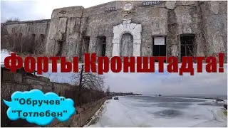 Форты 