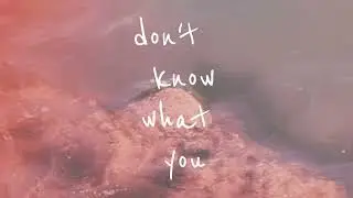 Bluhm - Double Dream (Lyric Video)