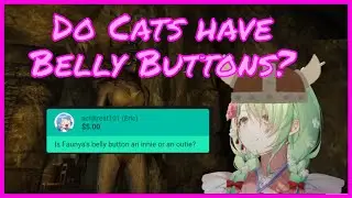 Is Faunya's Belly Button an Innie or an Outie? [Fauna, Hololive, Skyrim]