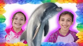 Meeting Dolphins 🐬  Florida Keys That Girl Fam