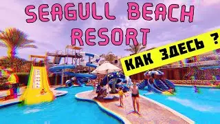 ПЕРВЫЙ ДЕНЬ В SEAGULL BEACH RESORT | ЕГИПЕТ 2021 ХУРГАДА