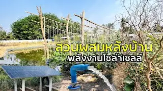 สวนผสมหลังบ้าน พลังงานโซล่าเซลล์ ขุดสระเลี้ยงปลา ปูผ้าเก็บน้ำ พืชผักสวนครัวตามฤดูกาล