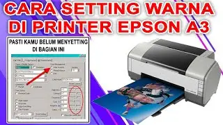 🔴 Color settings on Epson printers for good print results