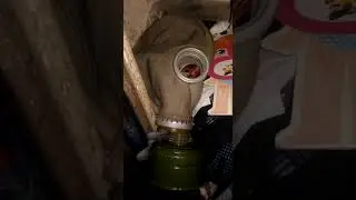 5 февраля 2022 г.