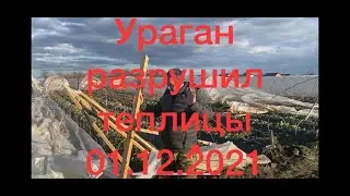 Стихия ударила по кубанским фермерам