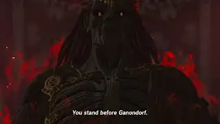 You stand before Ganondorf ( Zelda Tears of the Kingdom)