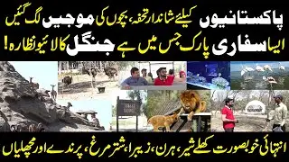 Lahore Safari Zoo Park | Amazing Place for Picnic Point | Pakistan First International Standard Zoo