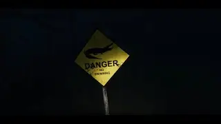 Labyrinthine: Big Angry Alligators