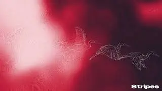 SOUTH SUMMIT - STRIPES (Official Visualiser)
