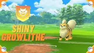 A Wild ✨ Shiny Growlithe ✨ Appeared! [Pokemon GO] #shorts