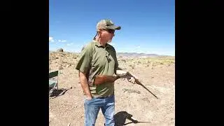 Old Stevens Single Shot 410 #shorts