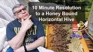 10 Minute Resolution to a Honey Bound Horizontal Hive