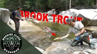 Brook Trout//White Mountains, New Hampshire