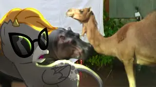 Пони клип 