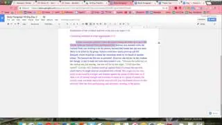 Body Paragraphs- Adversity