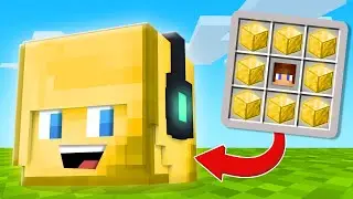 Minecraft: NEW GOLD DISGUISE IN HIDE AND SEEK!!