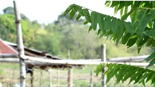 Province fresh air.