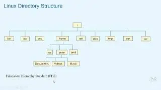 Linux Command Line, Bash Shell, Scripting AWK & SED on Linux [Linux Directory Structure]