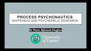 'Process Psychonautics: Whitehead and Psychedelic Research' – Peter Sjöstedt-Hughes talk at CPS-50th